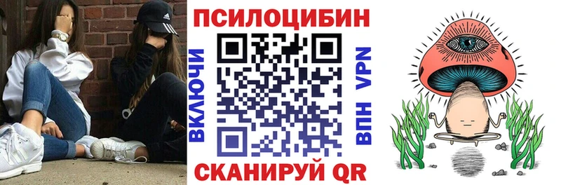 купить   Харовск  Псилоцибиновые грибы Psilocybe 